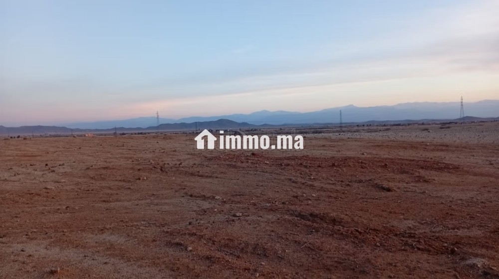 Vente terrain à Route Casablanca. Surface totale 7600 m² - Vente Immobilier - Marrakech - photo 5