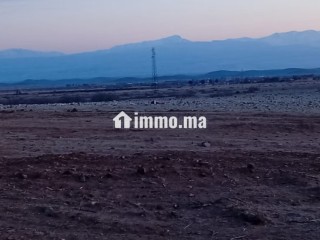 Vente terrain à Route Casablanca. Surface totale 7600 m² - Terrain à vendre - Marrakech