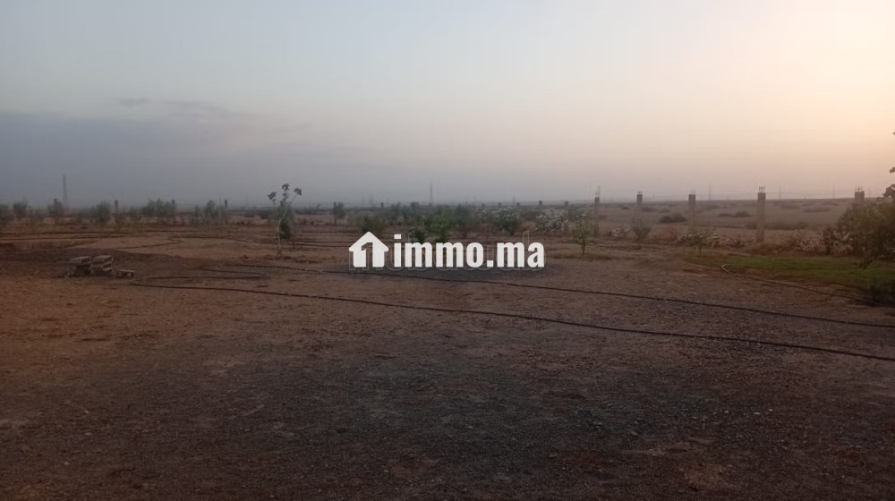 Terrain à acheter à Route Casablanca.
Superficie 2700 m² - Vente Immobilier - Marrakech - photo 2