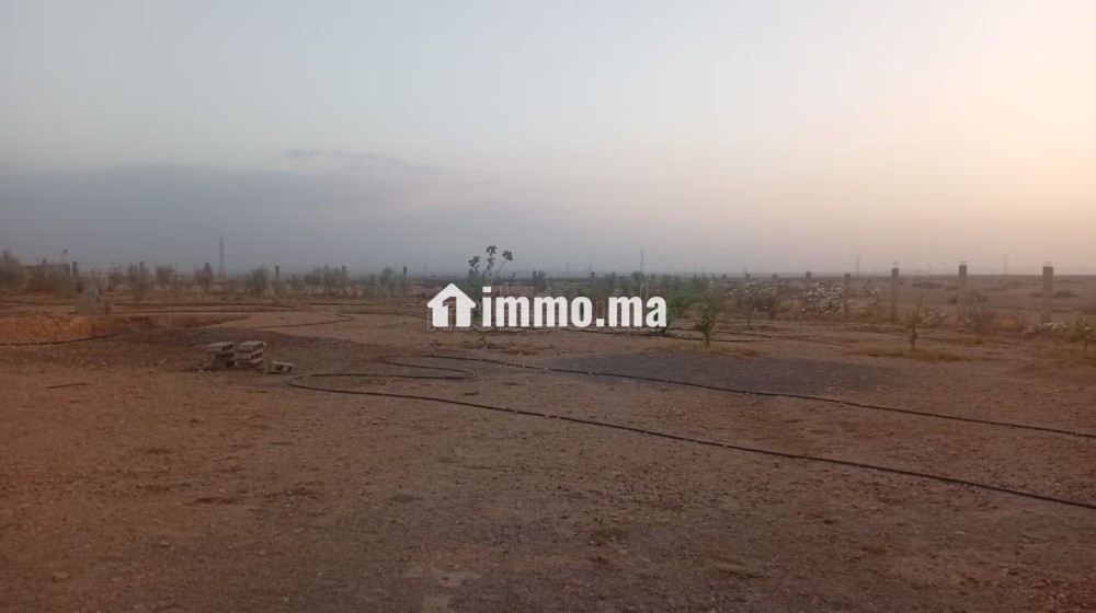 Terrain à acheter à Route Casablanca.
Superficie 2700 m² - Vente Immobilier - Marrakech - photo 3