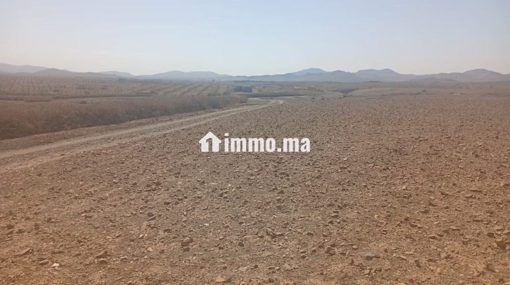 Terrain à acheter à Route Casablanca.
Superficie 2700 m² - Vente Immobilier - Marrakech - photo 4