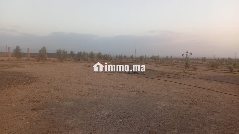 Terrain à acheter à Route Casablanca.
Superficie 2700 m² - Vente Immobilier - Marrakech - photo 5