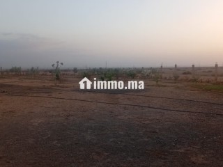 Terrain à acheter à Route Casablanca.
Superficie 2700 m² - Terrain à vendre - Marrakech