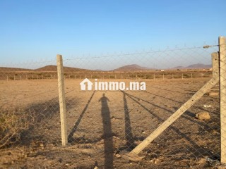 Terrain à acheter à Route Casablanca. Surface de 4500 m² - Terrain à vendre - Marrakech