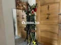 appartement-ideal-pour-investissement-locatif-small-3