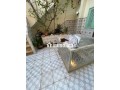 Riad à rénover Dar el Bacha Emplacement premium - miniature 3