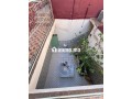 Riad à rénover Dar el Bacha Emplacement premium - miniature 4