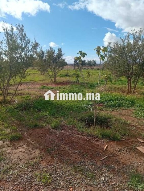 Une ferme a rehen - Vente Immobilier - Marrakech - photo 1