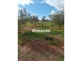 Une ferme a rehen - miniature 1