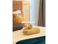 Appartements à louer à Guéliz. 2 belles chambres. Résidence avec concierge, climatisation générale - miniature 6