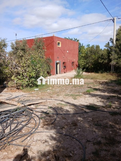 مزرعة بحد الدرى للبيع - Vente Immobilier - Essaouira - photo 1