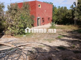 مزرعة بحد الدرى للبيع - Terrain à vendre - Essaouira