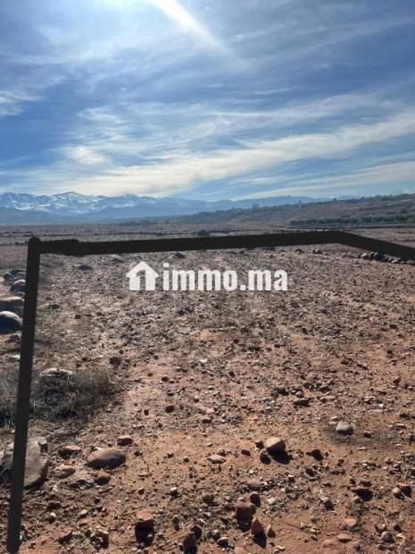 بقعة أرضية 530 متر مربع همزة بدوار تيليت تامازوزت - Vente Immobilier - Marrakech - photo 2