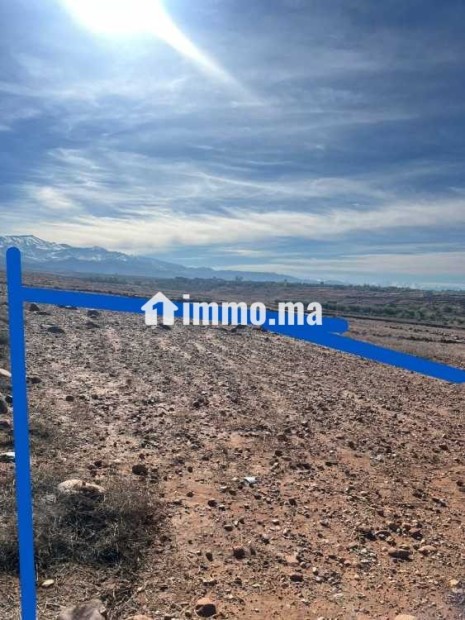 بقعة أرضية 530 متر مربع همزة بدوار تيليت تامازوزت - Vente Immobilier - Marrakech - photo 3