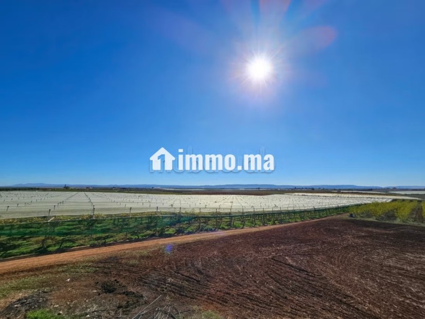 Ferme de luxe à vendre Région de Meknès - Vente Immobilier - Meknes - photo 4