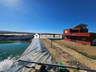 Ferme de luxe à vendre Région de Meknès - Terrain à vendre - Meknes