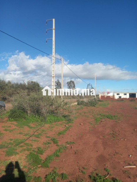 Terrain titré a vendre 12000m loti - Vente Immobilier - Taroudant - photo 6