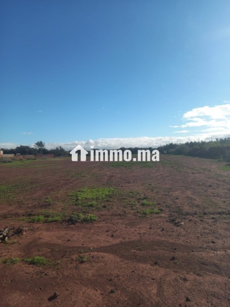Terrain titré a vendre 12000m loti - Vente Immobilier - Taroudant - photo 5