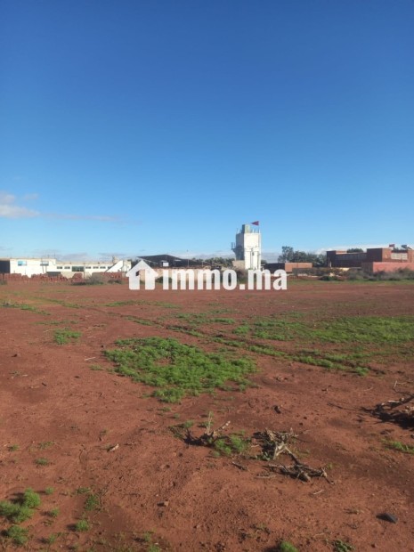 Terrain titré a vendre 12000m loti - Vente Immobilier - Taroudant - photo 4