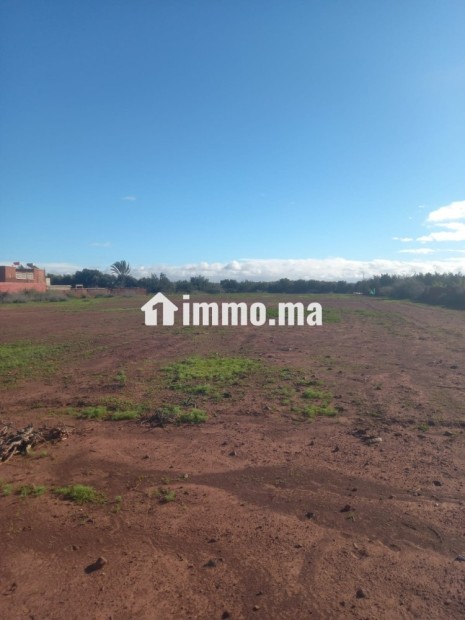 Terrain titré a vendre 12000m loti - Vente Immobilier - Taroudant - photo 3