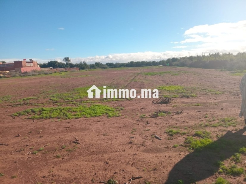 Terrain titré a vendre 12000m loti - Vente Immobilier - Taroudant - photo 2