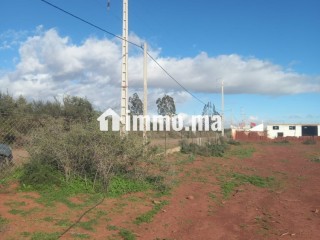 Terrain titré a vendre 12000m loti - Terrain à vendre - Taroudant