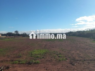 Terrain titré a vendre 12000m loti - Terrain à vendre - Taroudant