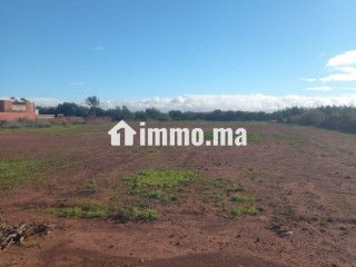 Terrain titré a vendre 12000m loti - Terrain à vendre - Taroudant