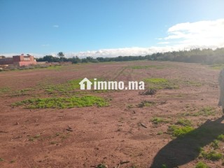 Terrain titré a vendre 12000m loti - Terrain à vendre - Taroudant