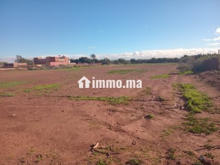 Terrain titré a vendre 12000m loti - Terrain à vendre - Taroudant