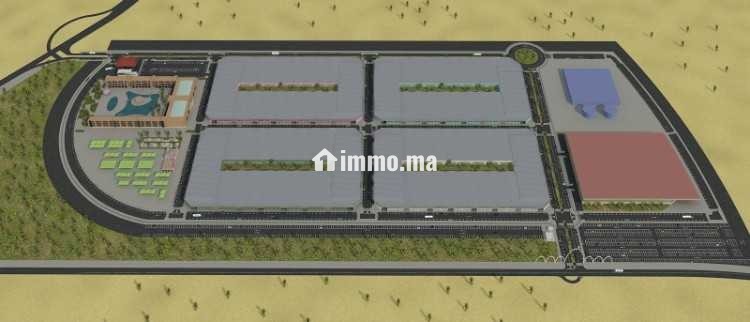 Plateforme logistique stratégique Tarfaya - Vente Immobilier - Tarfaya - photo 2