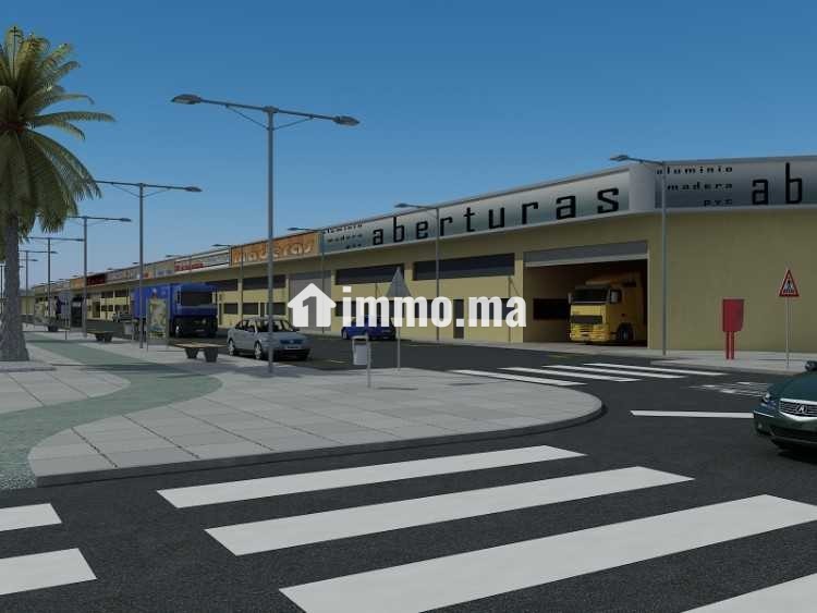 Plateforme logistique stratégique Tarfaya - Vente Immobilier - Tarfaya - photo 4