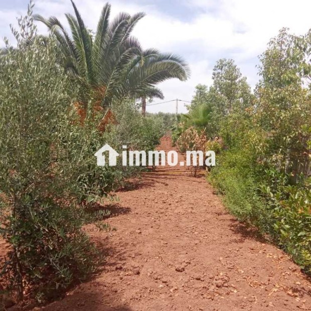 Villa avec Piscine sur 1400m2 Proche Marrakech - Vente Immobilier - Marrakech - photo 2