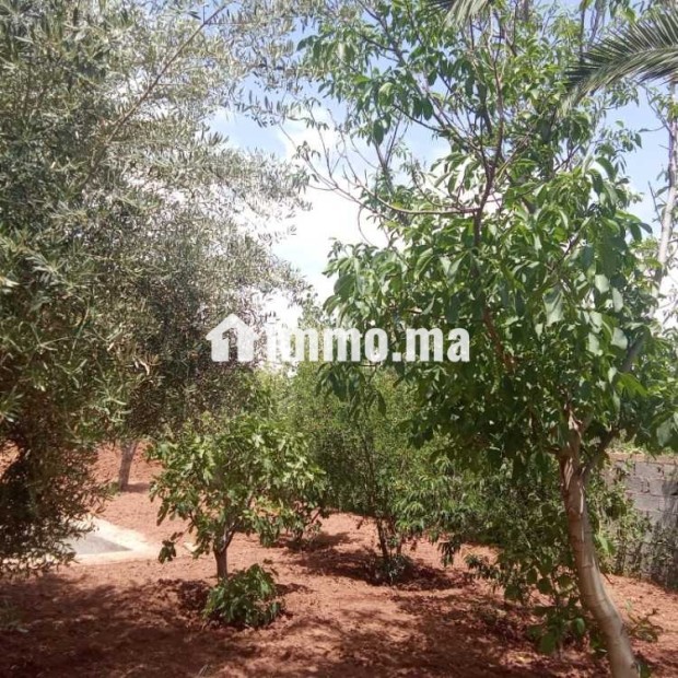Villa avec Piscine sur 1400m2 Proche Marrakech - Vente Immobilier - Marrakech - photo 6