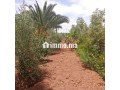 Villa avec Piscine sur 1400m2 Proche Marrakech - miniature 2