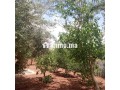 Villa avec Piscine sur 1400m2 Proche Marrakech - miniature 6