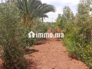 Villa avec Piscine sur 1400m2 Proche Marrakech - Villa à vendre - Marrakech