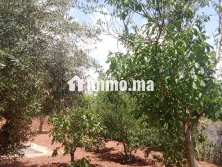 Villa avec Piscine sur 1400m2 Proche Marrakech - Villa à vendre - Marrakech