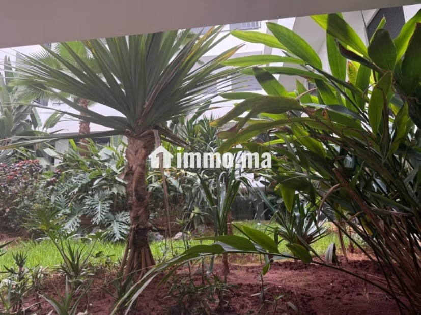 Location Appartement Meublé Maârif Anoual - Location Immobilier - Casablanca - photo 3