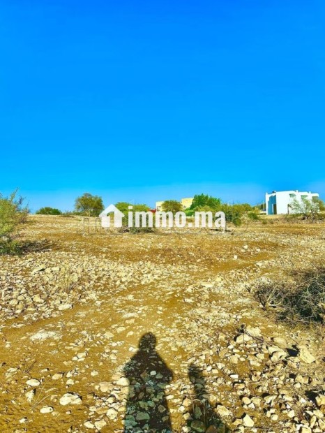 Vente de Terrain à proximité d'Essaouira 3 ha - Vente Immobilier - Essaouira - photo 4
