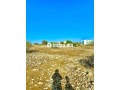 Vente de Terrain à proximité d'Essaouira 3 ha - miniature 4