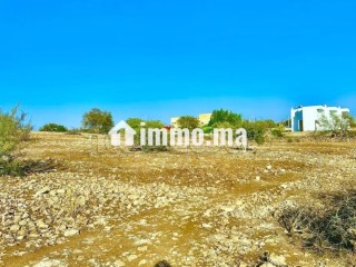 Vente de Terrain à proximité d'Essaouira 3 ha - Terrain à vendre - Essaouira