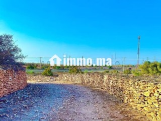Vente de Terrain à proximité d'Essaouira 3 ha - Terrain à vendre - Essaouira
