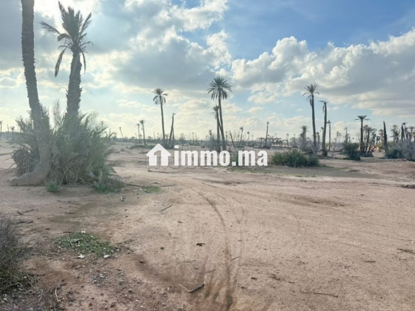 Terrain a la palmeraie Marrakech pour hôtel - Vente Immobilier - Marrakech - photo 1