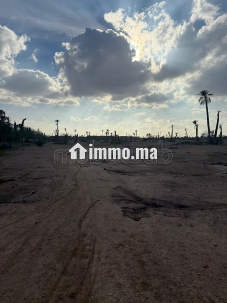 Terrain a la palmeraie Marrakech pour hôtel - Vente Immobilier - Marrakech - photo 3
