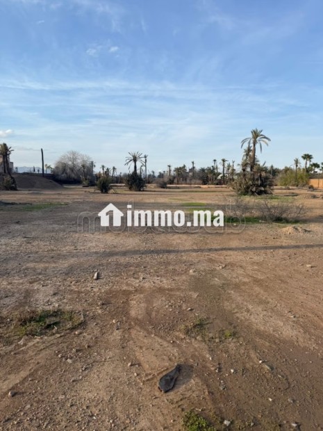 Terrain a la palmeraie Marrakech pour hôtel - Vente Immobilier - Marrakech - photo 4