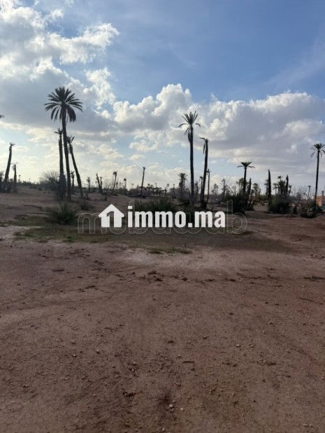 Terrain a la palmeraie Marrakech pour hôtel - Vente Immobilier - Marrakech - photo 5