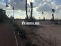 Terrain a la palmeraie Marrakech pour hôtel - miniature 2