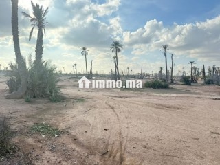 Terrain a la palmeraie Marrakech pour hôtel - Terrain à vendre - Marrakech