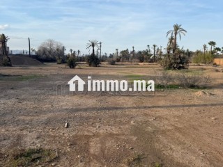 Terrain a la palmeraie Marrakech pour hôtel - Terrain à vendre - Marrakech
